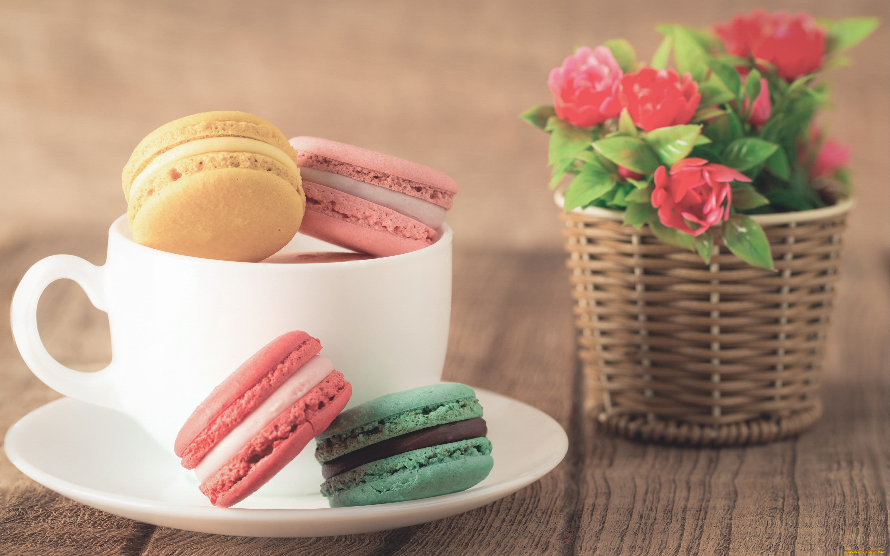 , , , almond, macaron, sweet, dessert, cookies, , , , cup, flowers, colorful, coffee